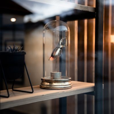 Weitere Eindrücke aus dem Studio