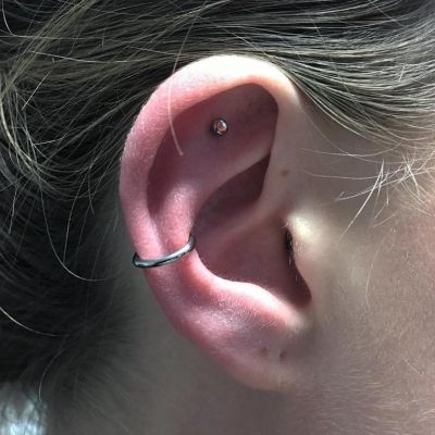 Conch & Helix
